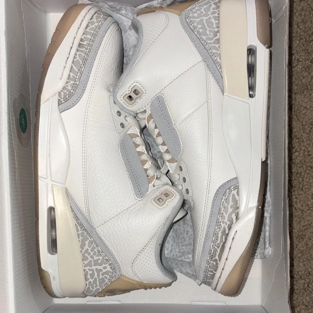 Air Jordan 3